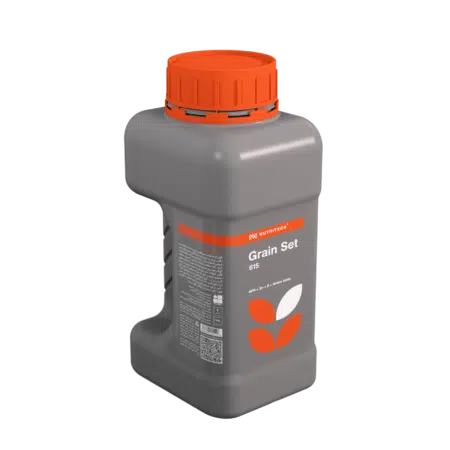 Grainset 1L