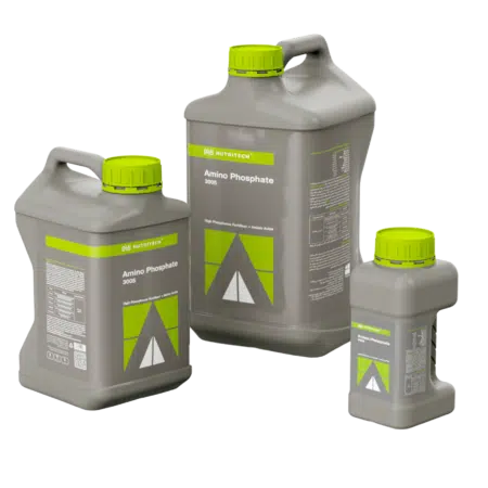 Amino Phosphite